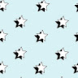 Meet your Posher, Reagan